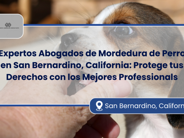 Expertos Abogados de Mordedura de Perro en San Bernardino, California: Protege tus Derechos con los Mejores Professionals